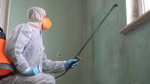  Amsterdam, NY Mold Removal Pros